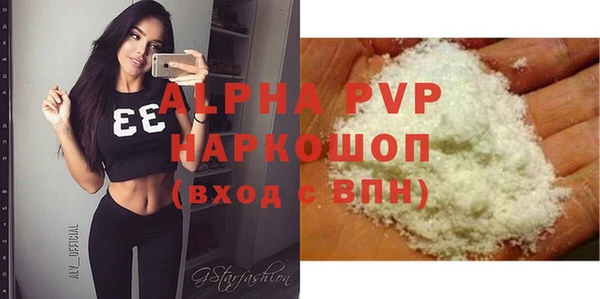 хмурый Алексин