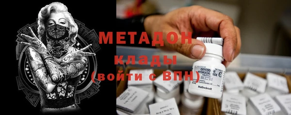 хмурый Алексин
