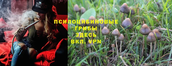 прущие крисы Алексеевка