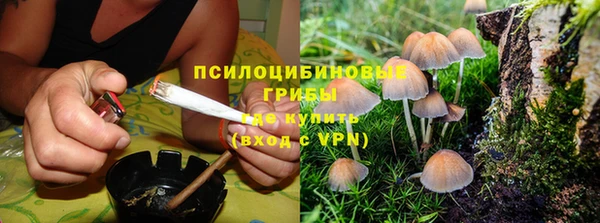 прущие крисы Алексеевка