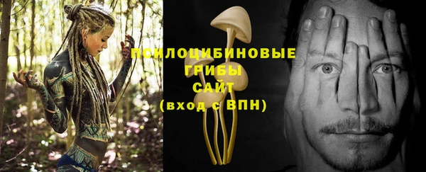 хмурый Алексин