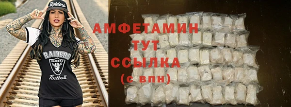 хмурый Алексин