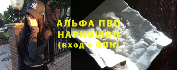 СК Алзамай