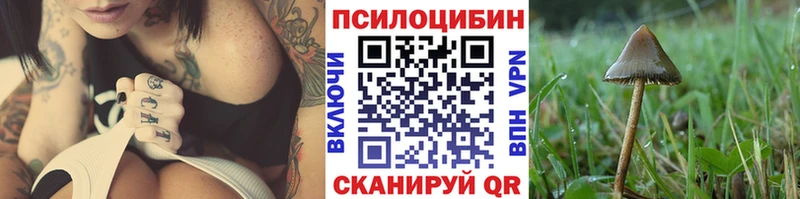 хочу наркоту  Лагань  Галлюциногенные грибы Magic Shrooms 