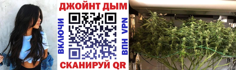 Каннабис OG Kush  Лагань 
